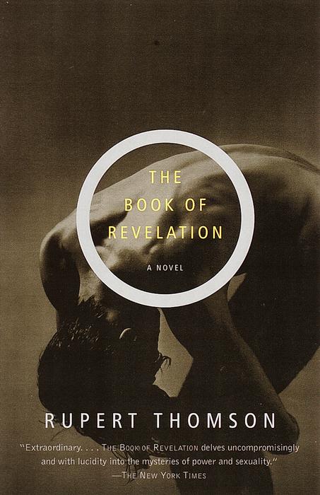 Cover image for The Book of Revelation